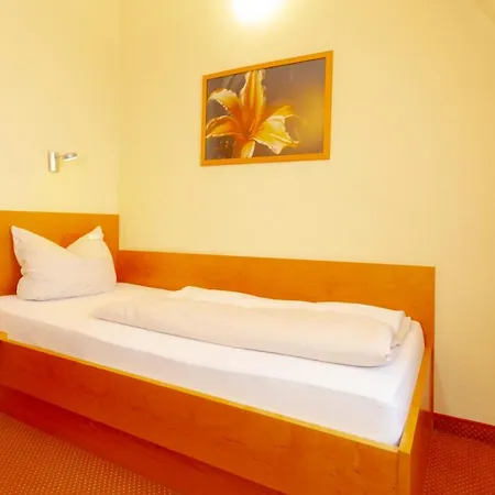Parkhotel Hotel Traunstein