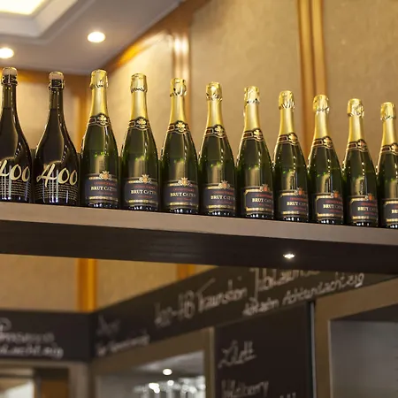 Parkhotel Отель 3*