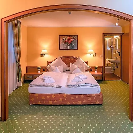 Parkhotel 3* טראונשטיין